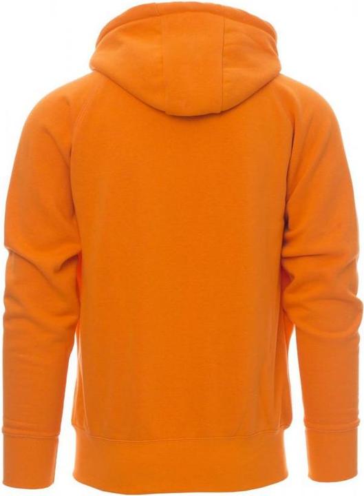 Actual product image Payper Hooded sweatshirt Dallas+ (3XL)