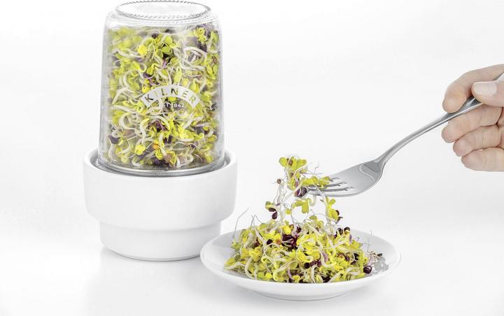 Actual product image Kilner Sprout glass set