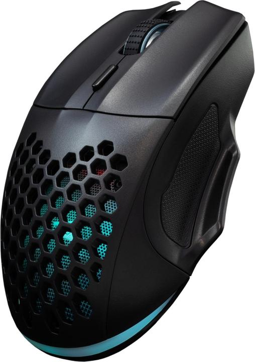 Actual product image Baracuda BGM-101 Penguin Black (Cable)