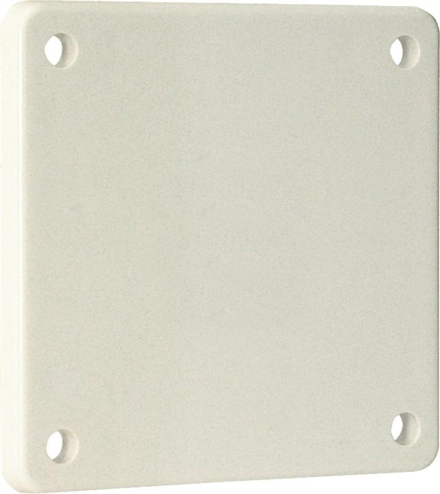 Walther Werke Blindflens