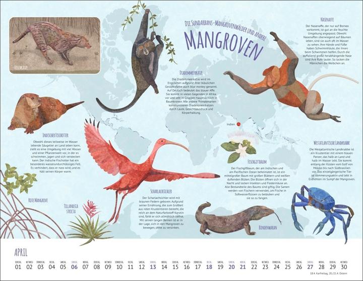 Produktbild Wo Tiere und Pflanzen zu Hause sind Kalender 2025 - Biome der Welt (44 x 34 cm)