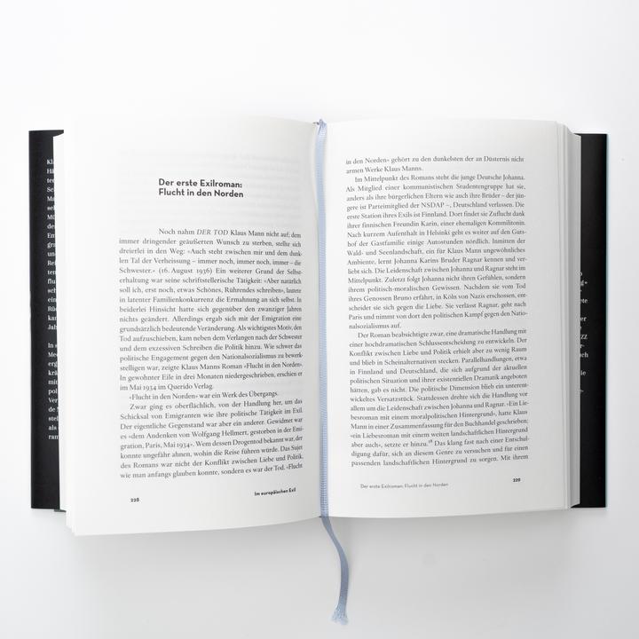 Actual product image Klaus Mann (German, Thomas Medicus, 2024)