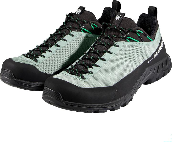 Produktbild Mammut Alnasca IV Low GTX Men (42)