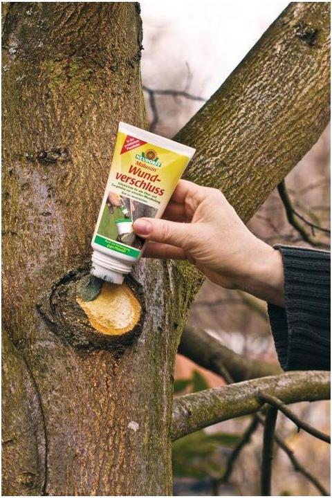 Produktbild Neudorff Malusan Wundverschluss, 250 ml