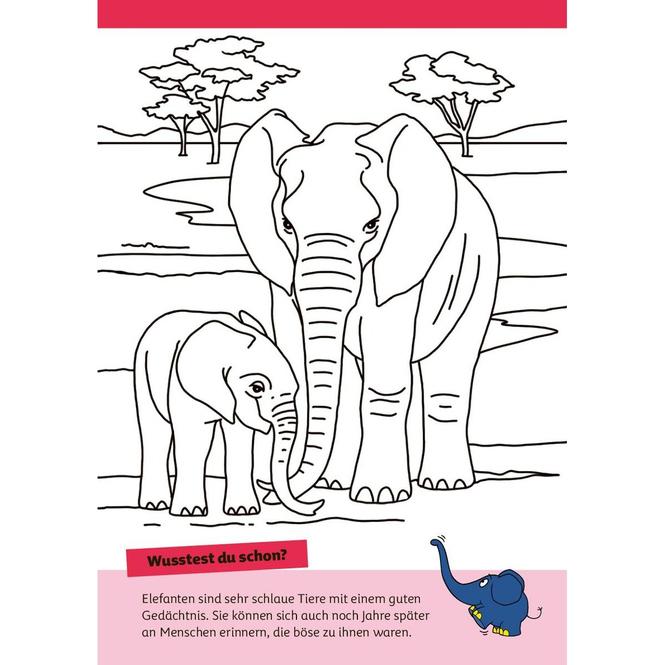 Immagine prodotto Die Maus - Malblock mit Sachwissen Natur und Tiere (Tedesco, pen2nature, 2024)