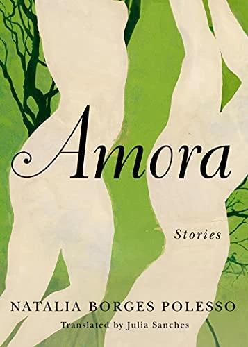 Produktbild Amazon Amora (Englisch, Natalia Borges Polesso, Julia Sanches, 2020)