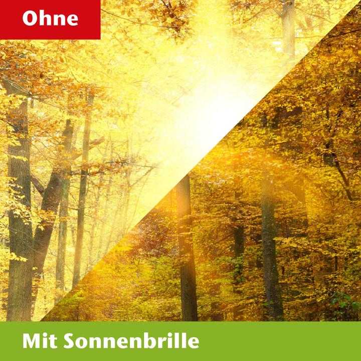 Produktbild Aktivshop Tag- und Nacht