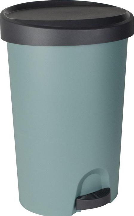 Anthrazit, Eukalyptus