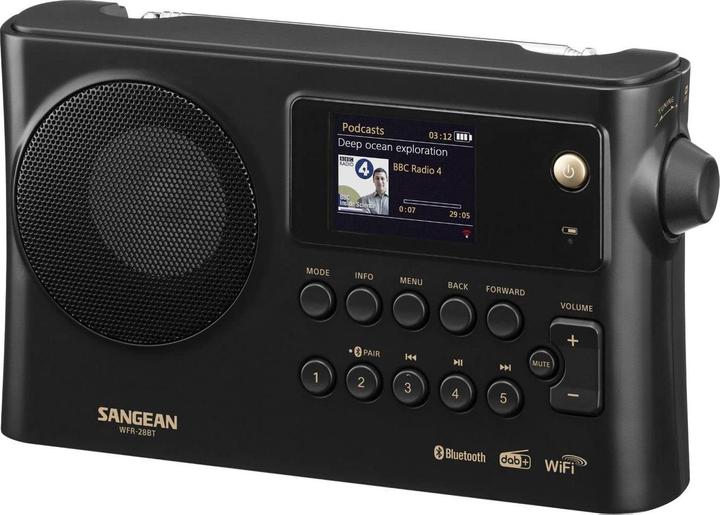 Immagine prodotto Sangean WFR-228BT (DAB, FM, Bluetooth, WiFi)