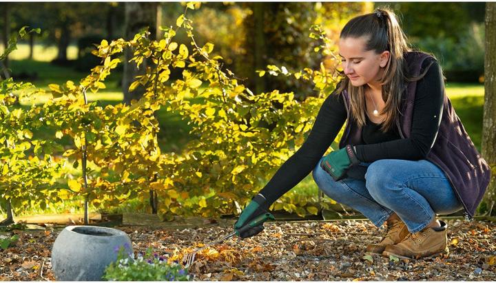 Produktbild Bosch Professional Gartenhandrechen