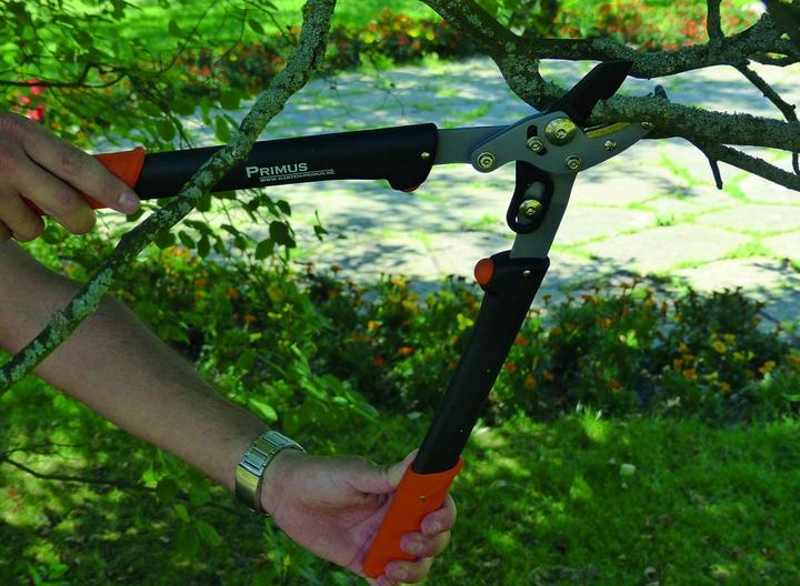 Produktbild Primus Astschere 01105