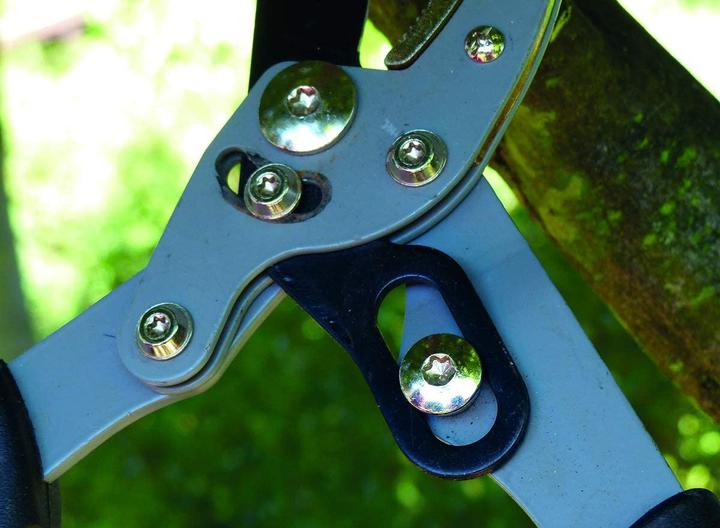 Produktbild Primus Astschere 01105