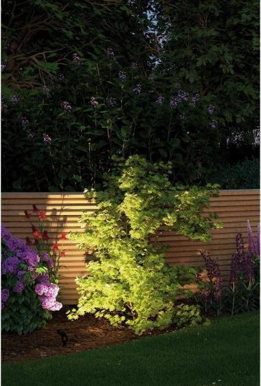 Image du produit Paulmann Kit de démarrage Outdoor Plug & Shine Sting (655 lm, IP67)