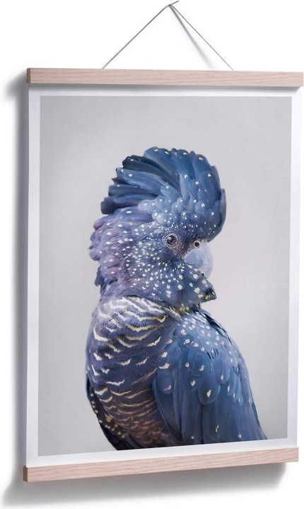 Immagine prodotto Trenddeko Cacatua blu (60 x 80 cm)