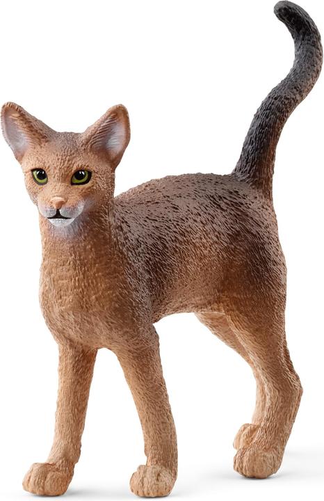 Actual product image Schleich Abyssinian cat