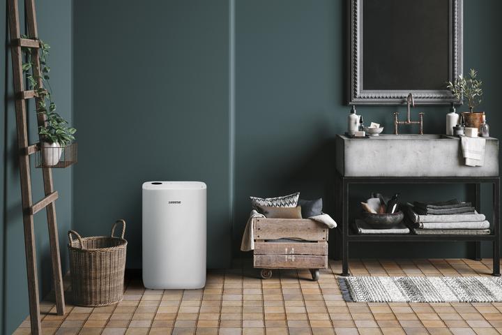 Image du produit eeese Otto 25 (85 m², 25 l/24h)