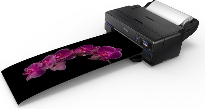 Actual product image Epson SC-P800 SureColor (Ink, Colour)