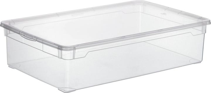 Image du produit Rotho Clair (40 cm, 30 l, 1x)