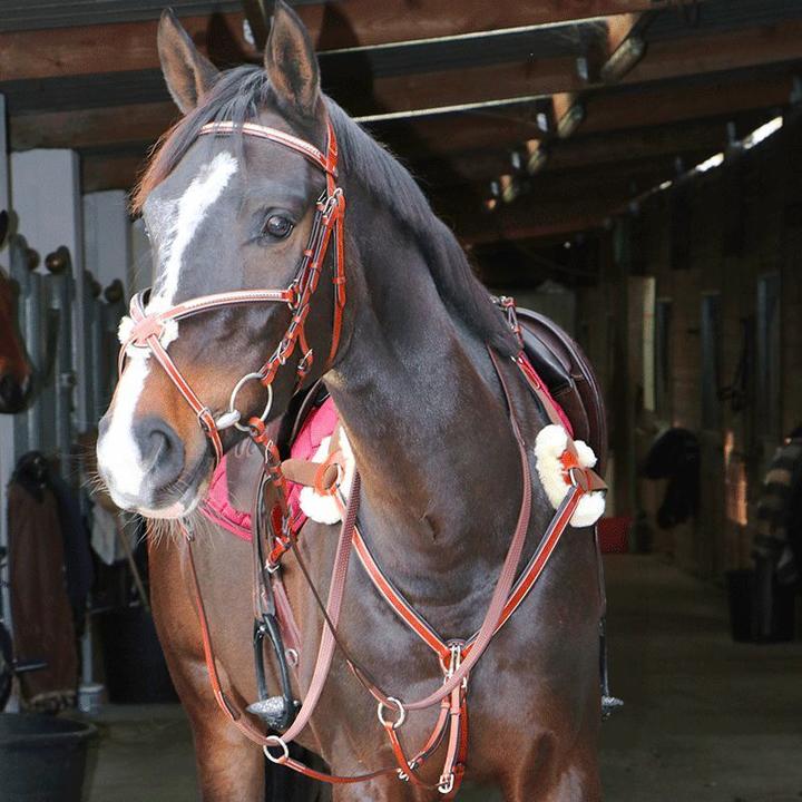 Actual product image LEXINGTON Snaffle bridles tucson cross