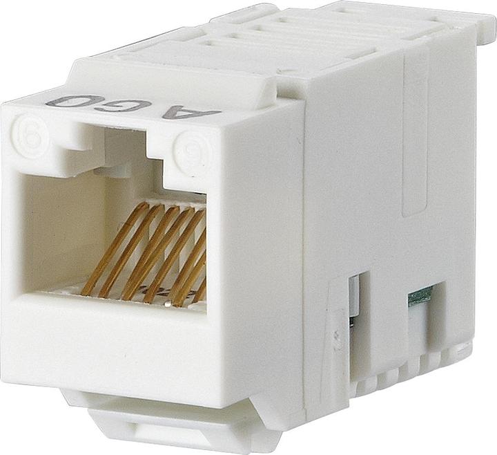 Image du produit Metz Connect UTP module 8(8) Cat.6 blanc 130A10-I-B1