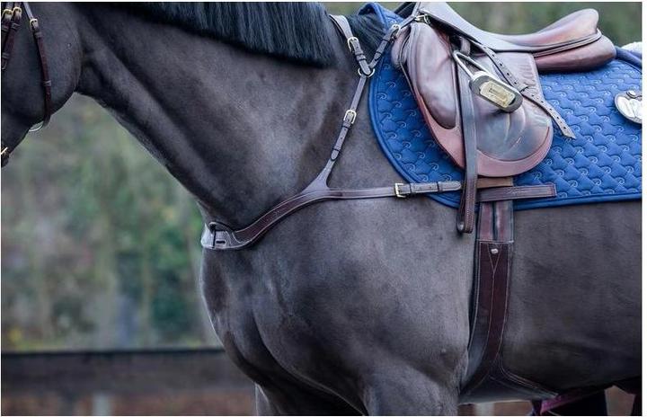 Image du produit Dy'on Collier de chasse anatomique