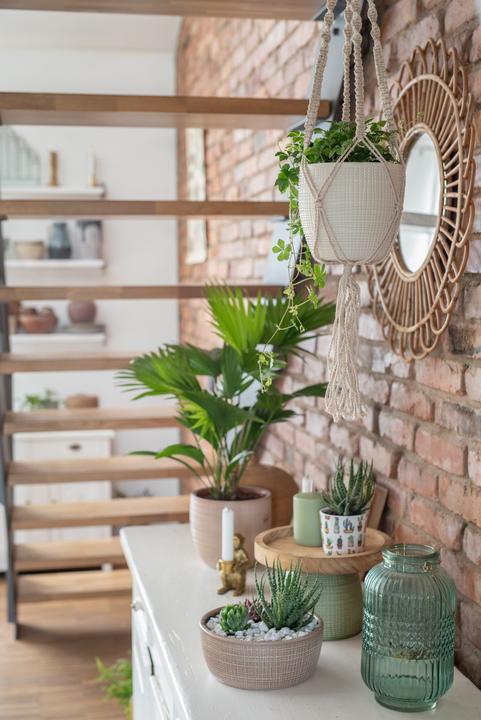 Actual product image Scheurich hanging traffic light 868 (15.60 cm)