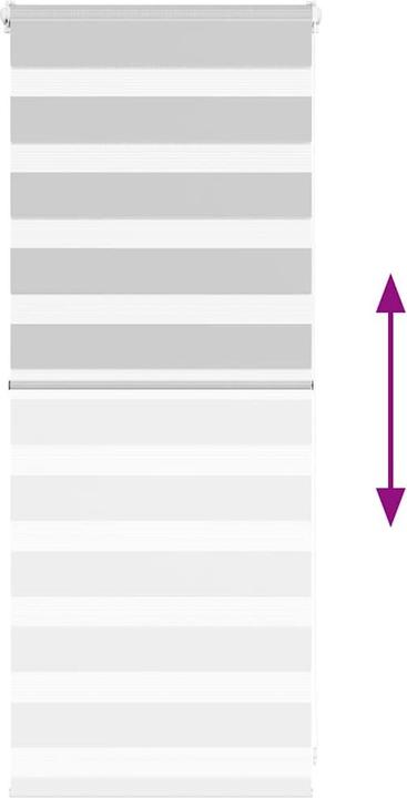 Produktbild vidaXL Zebra-Jalousie (60 x 100 cm)