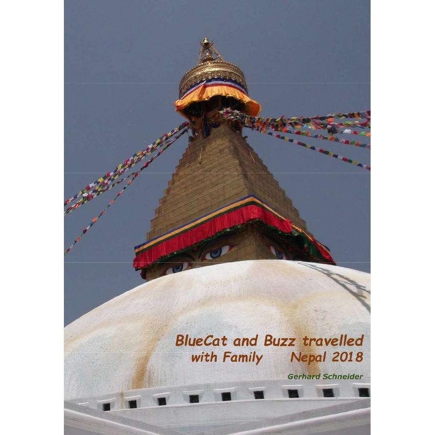 Buzz travelled / BlueCat and Buzz travelled, Ratgeber von Gerhard Schneider