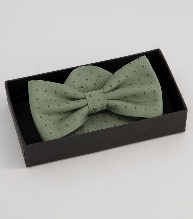 Produktbild JP1880 Set Fliege und Einstecktuch, Punkte