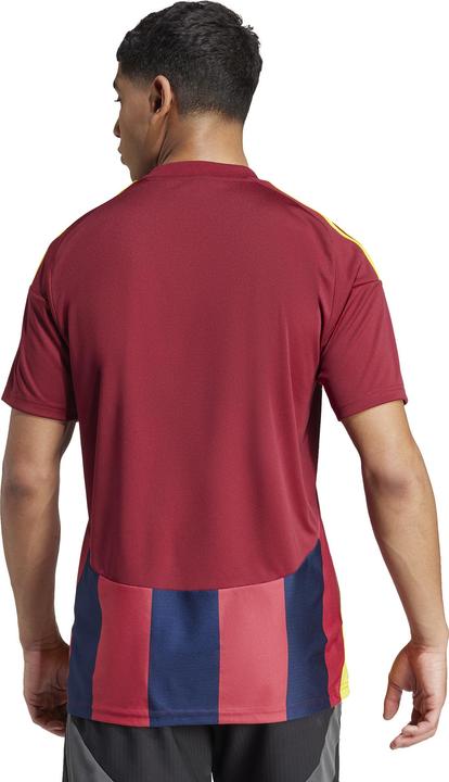 Produktbild adidas Striped 24 Trikot (M)