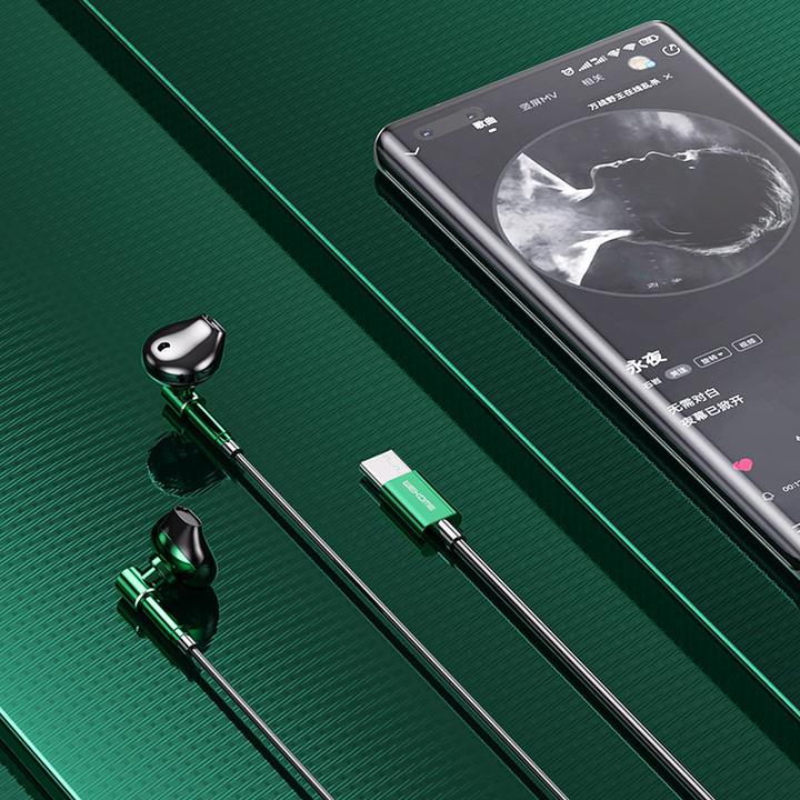 Actual product image Wekome Wired headphones USB-C tarnish (Cable)