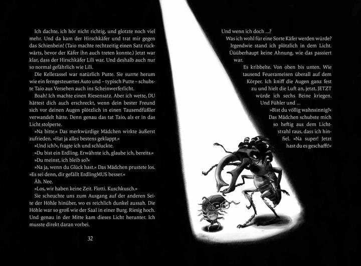 Actual product image Im Bann der Elemente (Bd. 1) (German, Anna Duke, Mandy Schlundt, 2023)