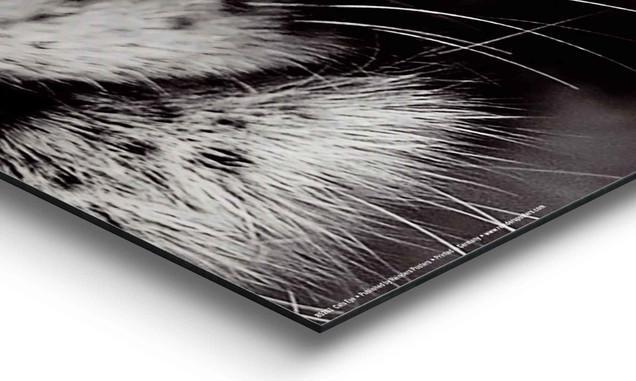 Produktbild Eibert Visual Bilder (40 x 50 cm)