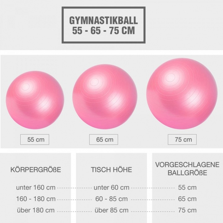 Immagine prodotto Gorilla Sports Palla da ginnastica 355 (65 cm)