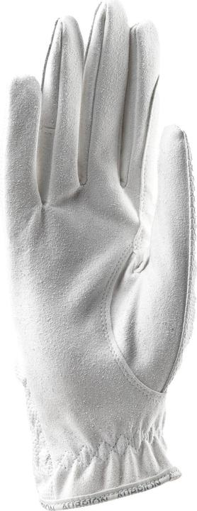 Produktbild Aubrion Reithandschuhe Aachen (L)