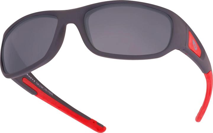 Produktbild Demetz Liken, grau polarized (3)