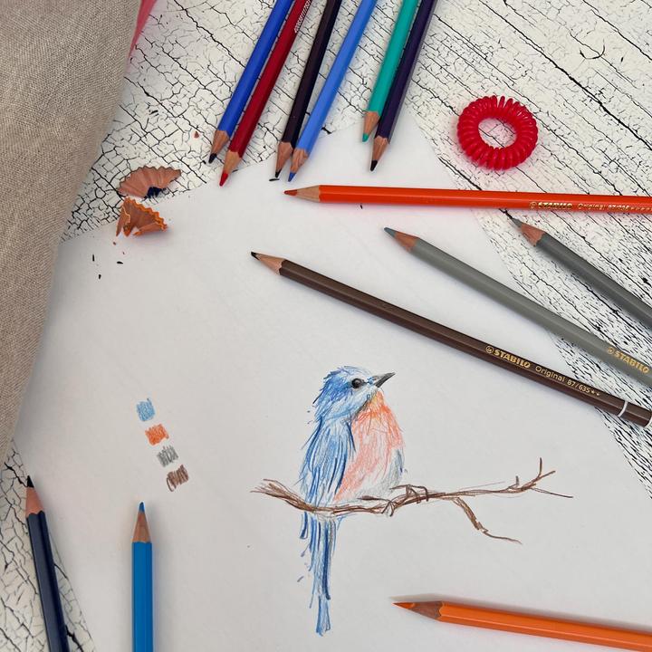 Immagine prodotto STABILO Matita colorata originale di qualità superiore (12 x)