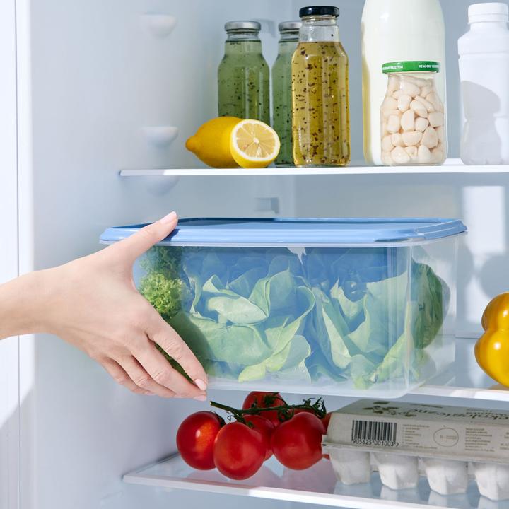 Actual product image Rotho Rondo (8 l)