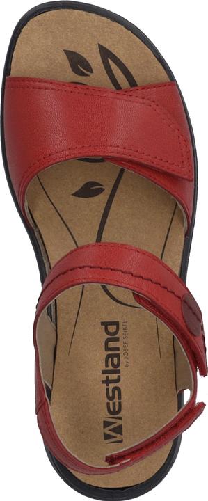 Actual product image Westland 16779-201 (39)