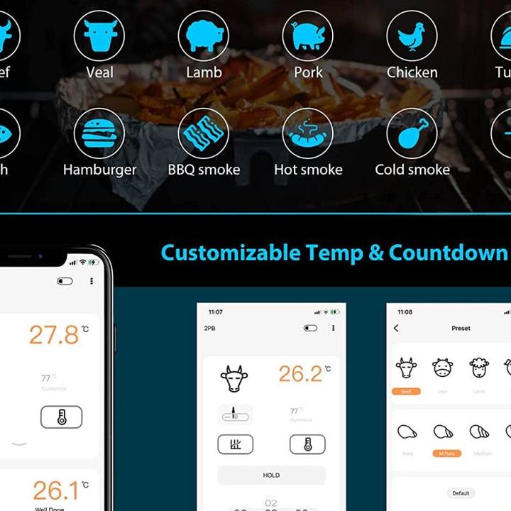 Actual product image Inkbird IHT-2PB Digital Einstichthermometer