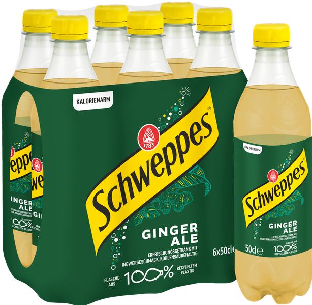 Image du produit Schweppes Ginger Ales (24 x 50 cl)