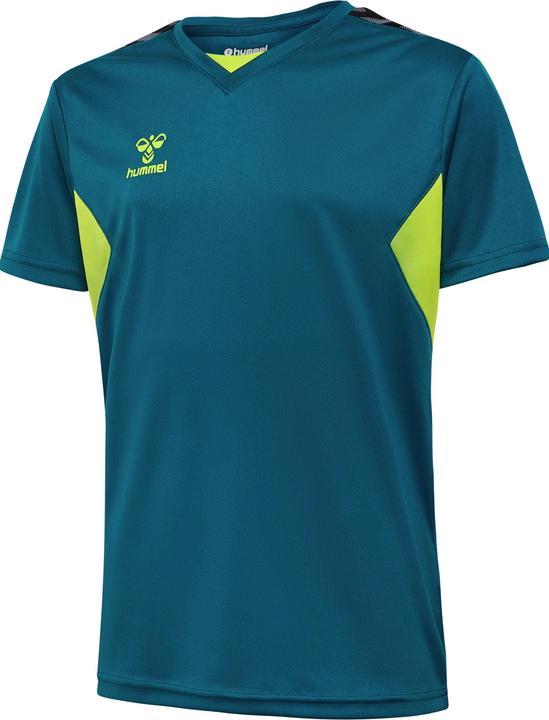 Blue Coral, Sulphur Spring