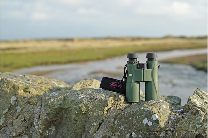 Actual product image Kowa Sv Ii (10 x, 42 mm)