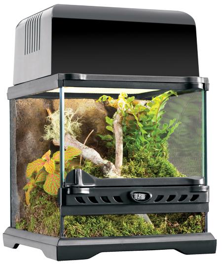 Actual product image Exo Terra Nano Glass Terrarium 20x20x20cm