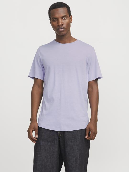 Actual product image Jack & Jones Jjebasher Tee O-Neck Ss Noos (XS)