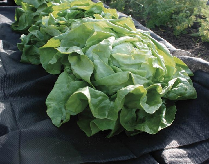Produktbild Siena Garden Unkrautvlies