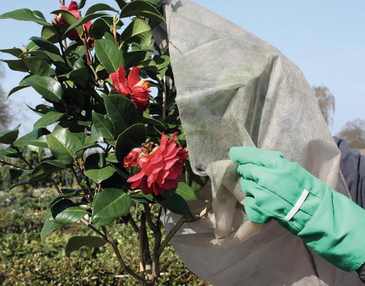 Actual product image Siena Garden Rose fleece bonnet
