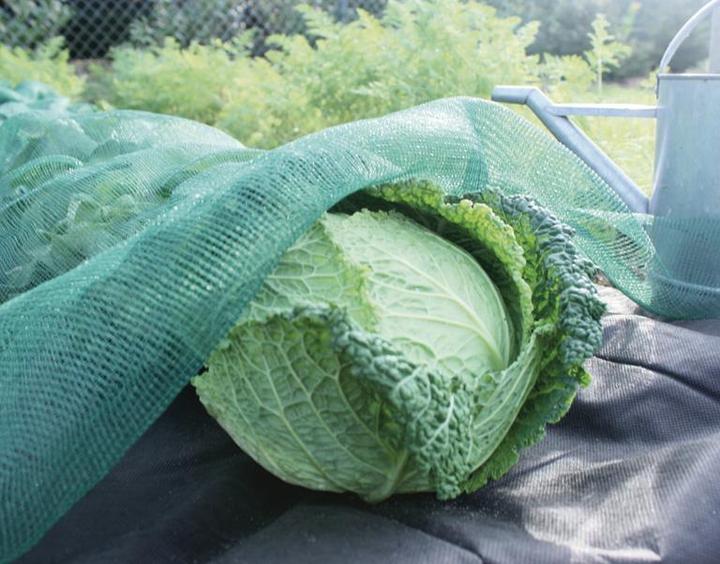 Immagine prodotto Siena Garden Rete anti-insetti/rete ombreggiante