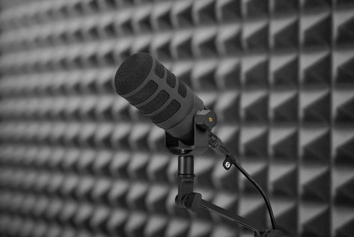 Immagine prodotto RØDE WS14