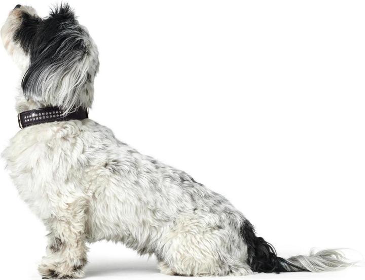 Actual product image Hunter Collar Softie Deluxe Faux Leather Nubuck (23, 24, 25, 27, 28, 29, Dog)
